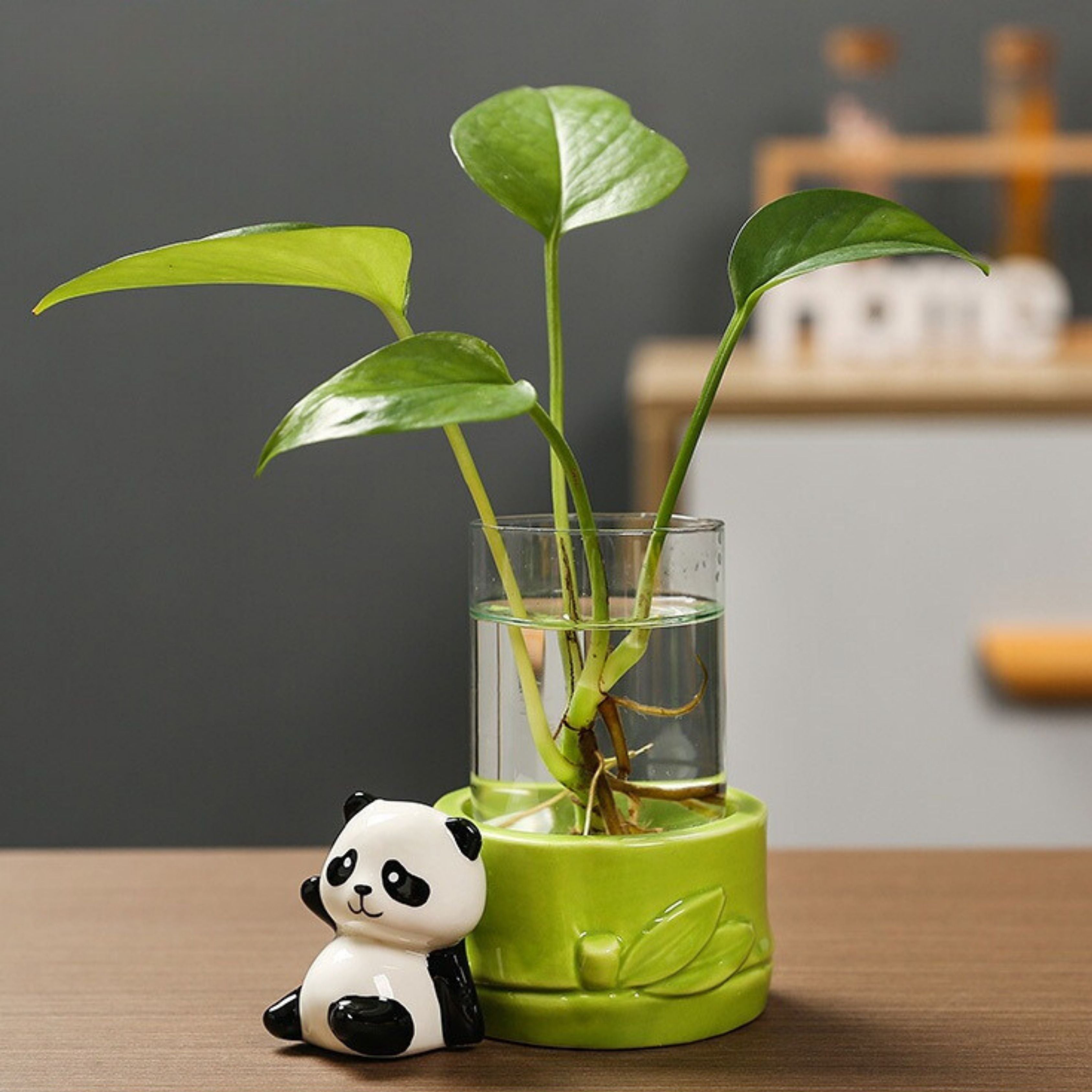 Panda-shaped Ceramic Aqua Plant Vase for Office Desk